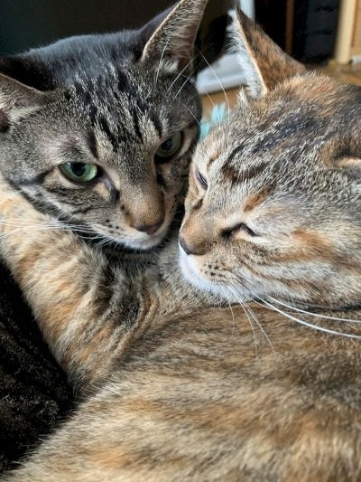 2025-02-01 15.36.09.jpg