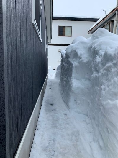 2022-02-20 10.59.48-1.jpg