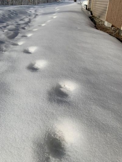 2025-01-27 08.42.23.jpg