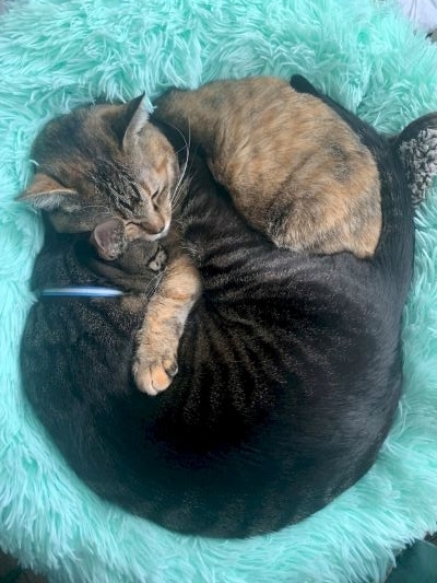 2025-02-14 14.31.44.jpg