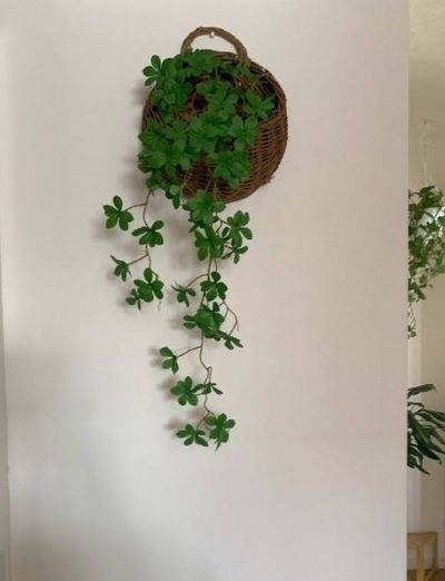 2025-03-22 14.55.48.jpg