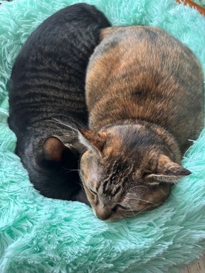 2025-11-03 15.00.43.jpg