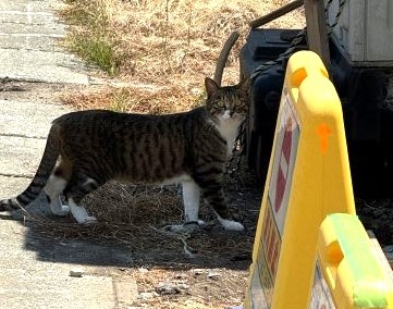 IMG_0165.JPG