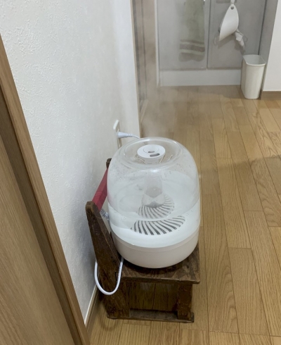 2025-03-22 18.56.48.jpg