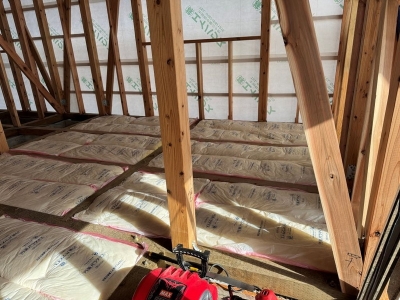 2025-11-29 12.03.41.jpg