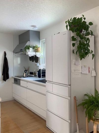 2025-01-25 11.02.47.jpg