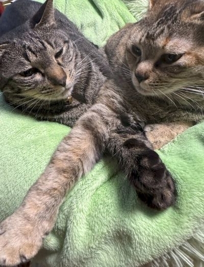 2025-05-07 18.48.35.jpg